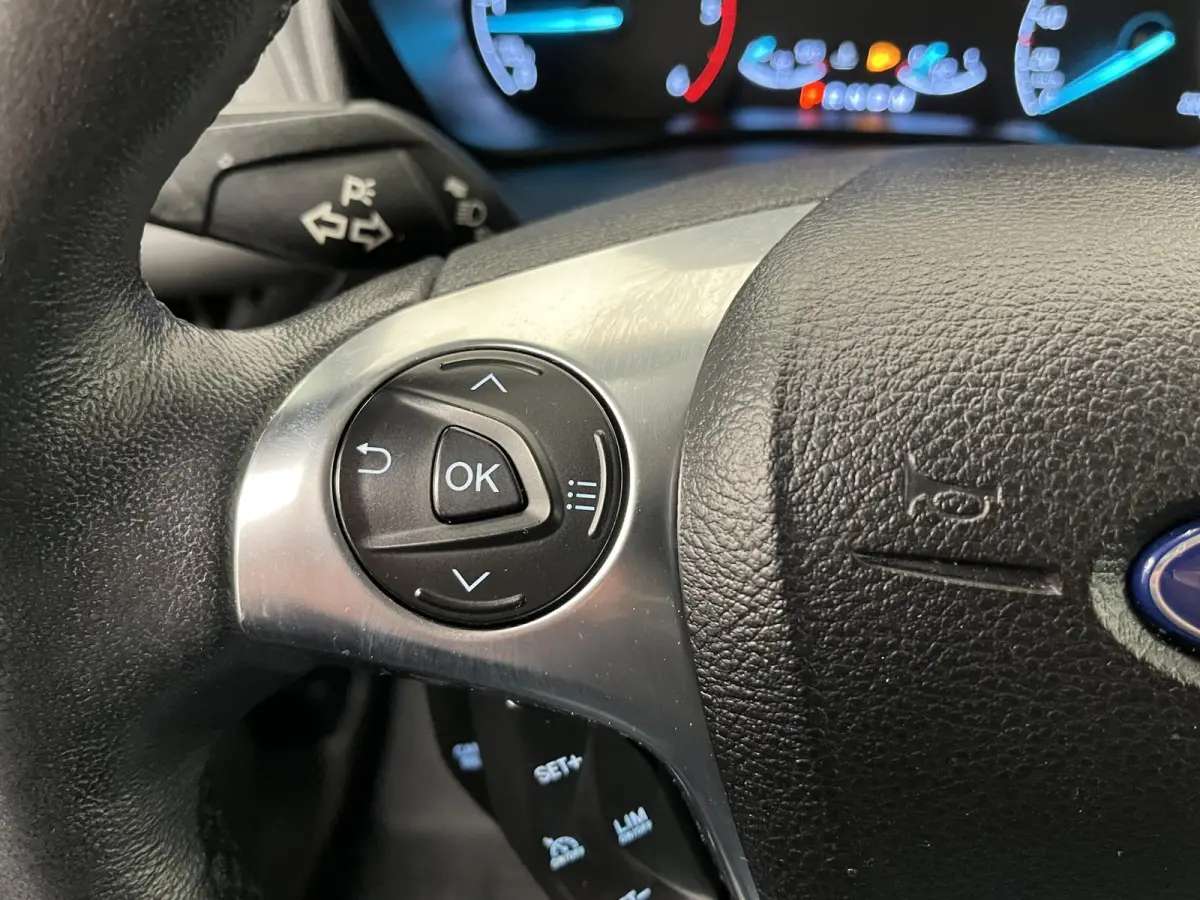 1.5 EcoBlue L2 Trend Automaat Airco Radio Cruise Control Parkeersensoren Achterklep Verwarmbare voorstoelen