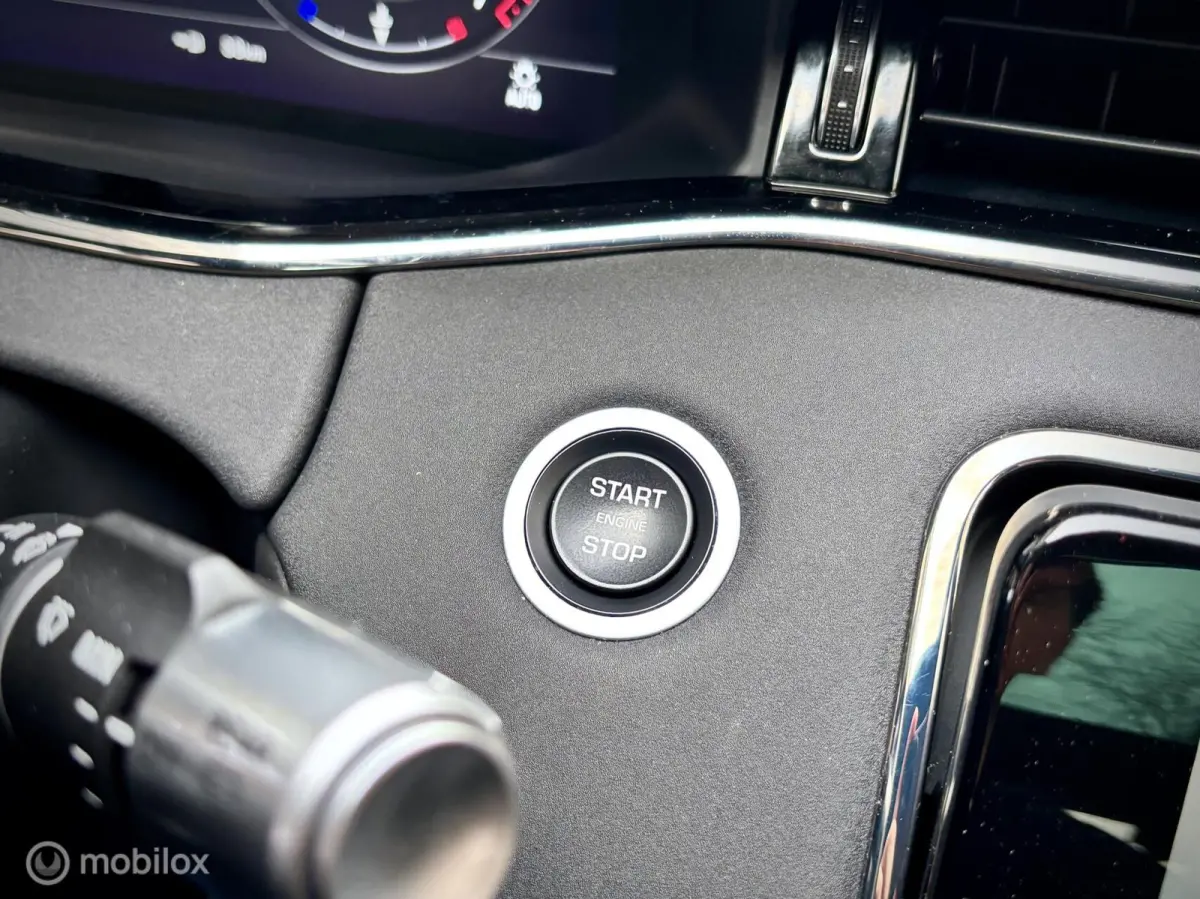2.0 P300 AWD R-Dynamic. VOL OPTIES!