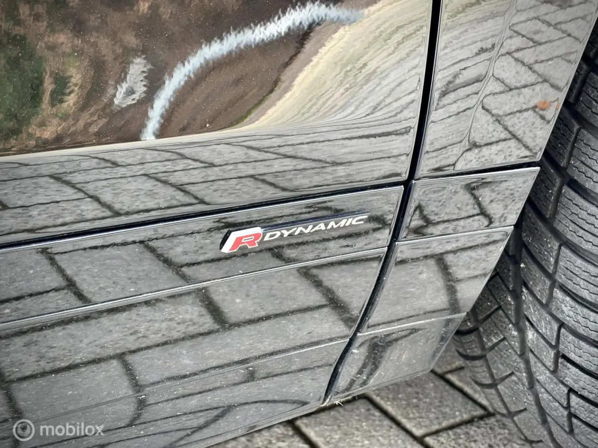 2.0 P300 AWD R-Dynamic. VOL OPTIES!
