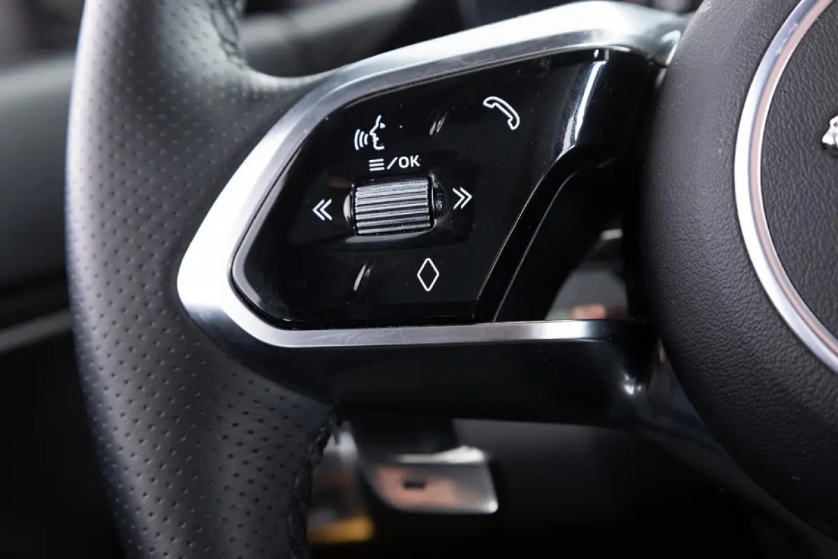 1.5 P300e AWD R-Dynamic SE | LEDER | PANORAMADAK | PHEV