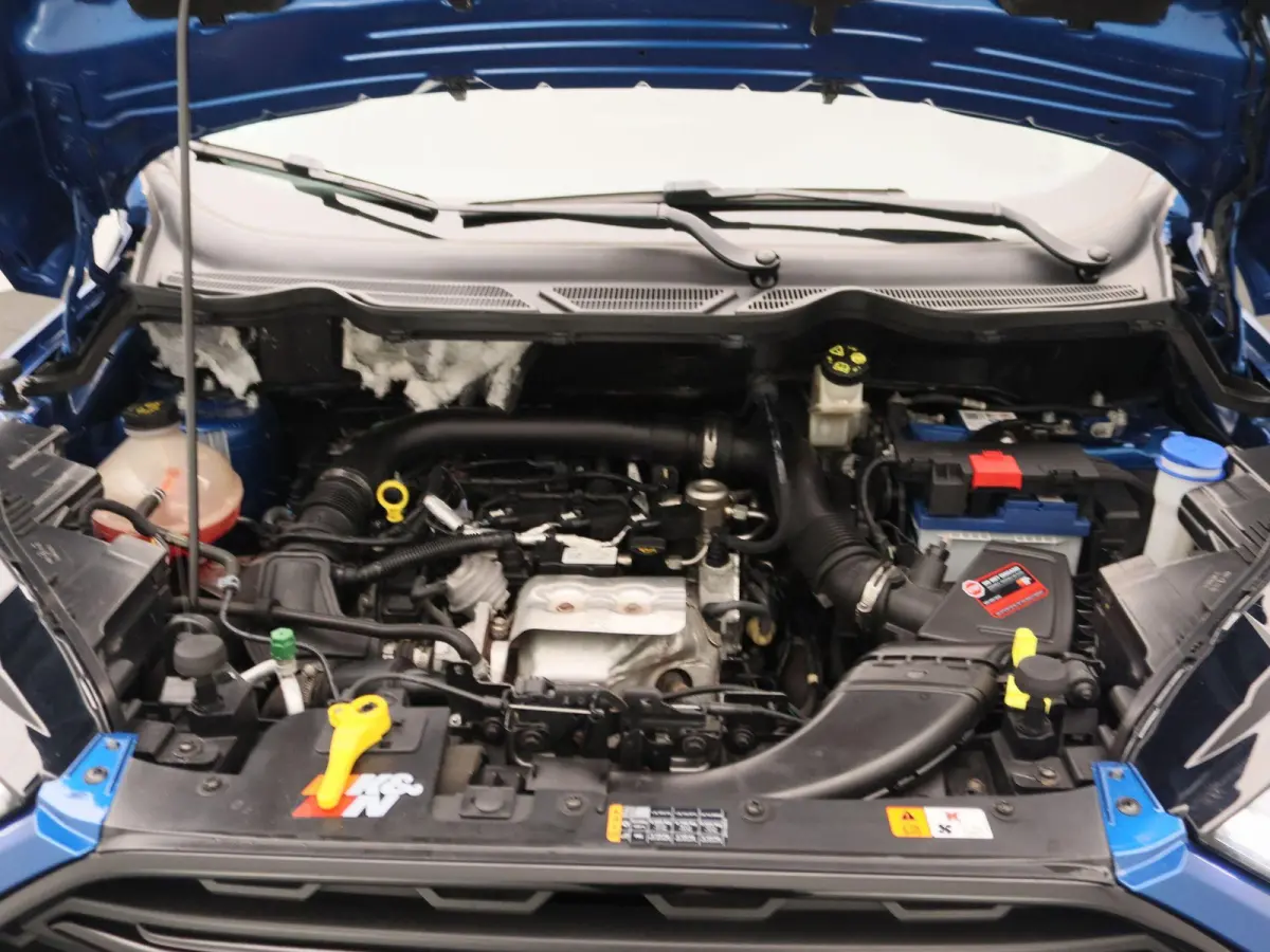1.0 EcoBoost ST-Line | Winter-Pack | Achteruitrijcamera | Cruise Control | Lichtmetalen Velgen |