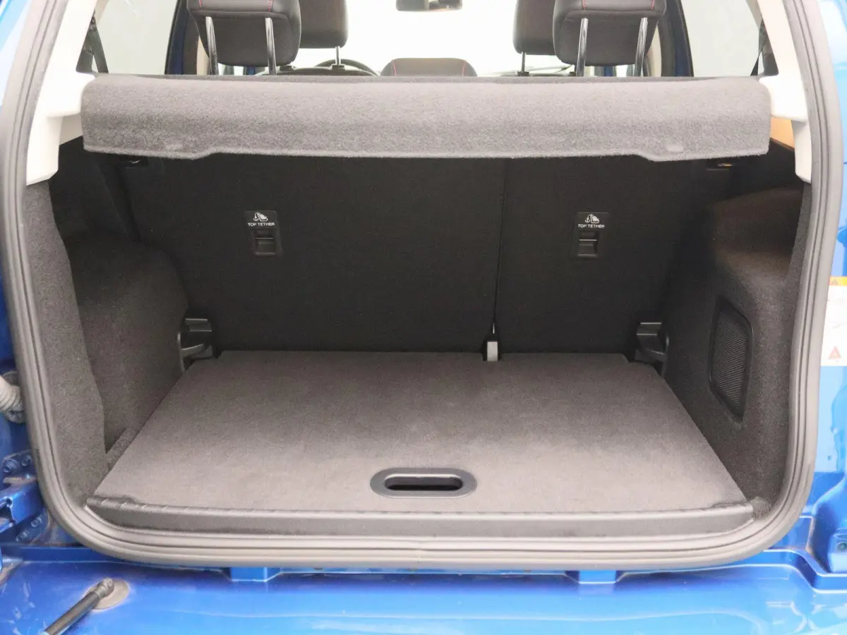 1.0 EcoBoost ST-Line | Winter-Pack | Achteruitrijcamera | Cruise Control | Lichtmetalen Velgen |