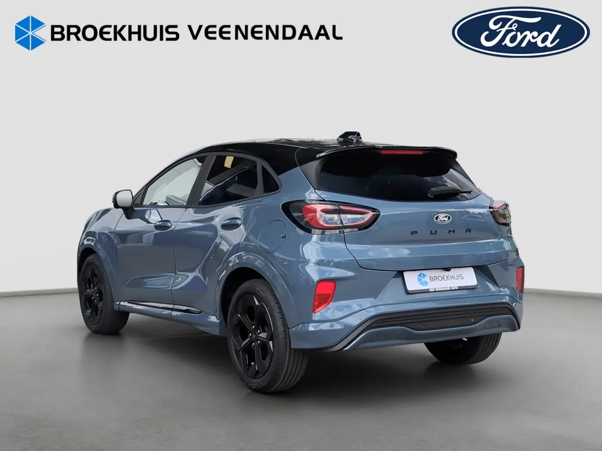 BlueCruise 1.0 Powershift Automaat | Winterpack | 360 Camera | Adap. Cruise control |