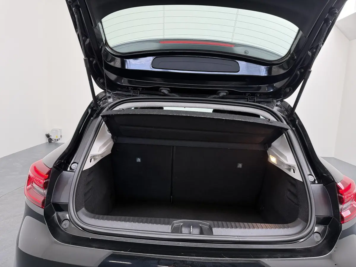 Hybrid 140 Business Zen | Navigatie | Climate Control | Keyless Entry |
