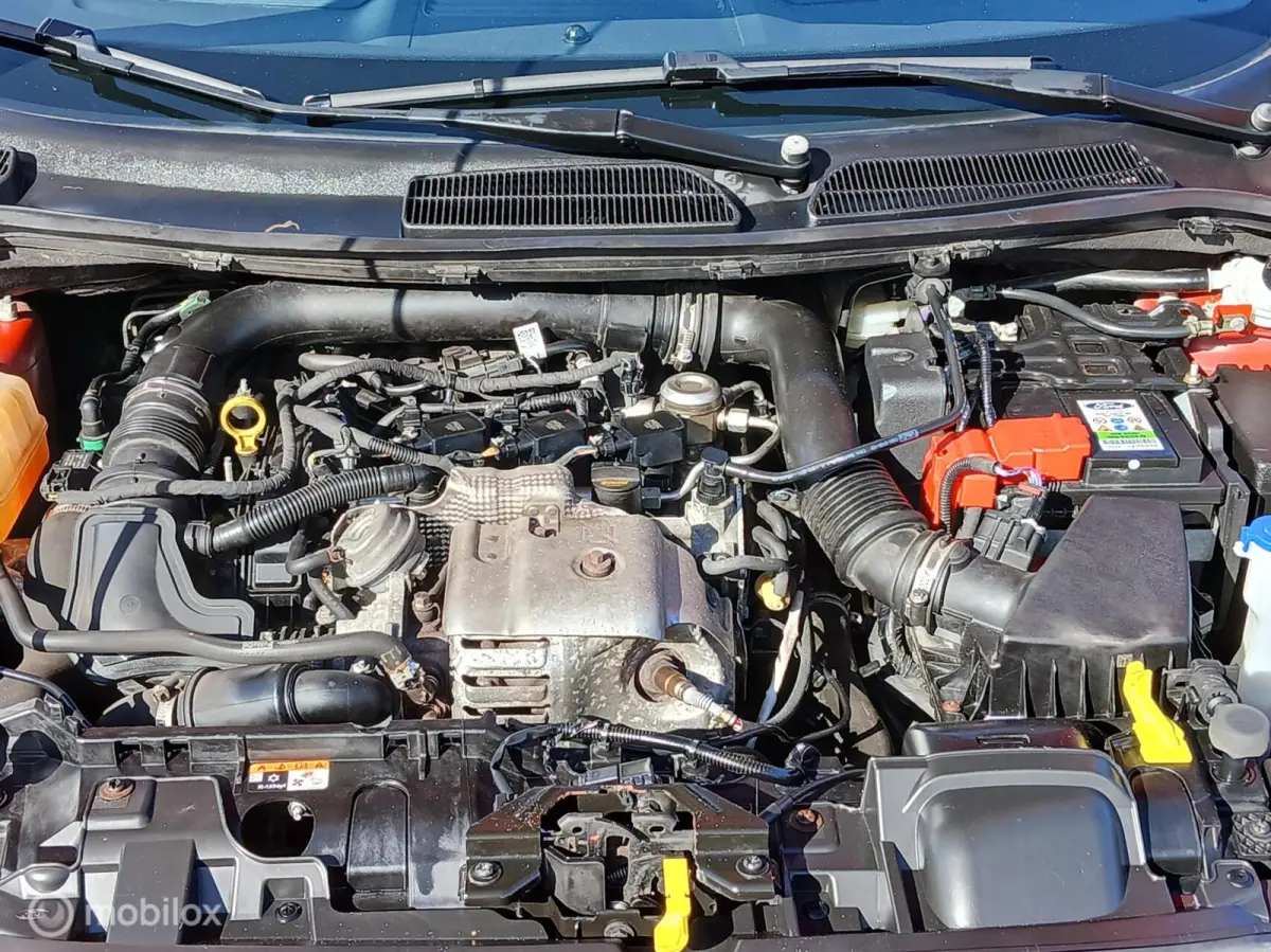 1.0 EcoBoost ST Line Nieuwe Riem