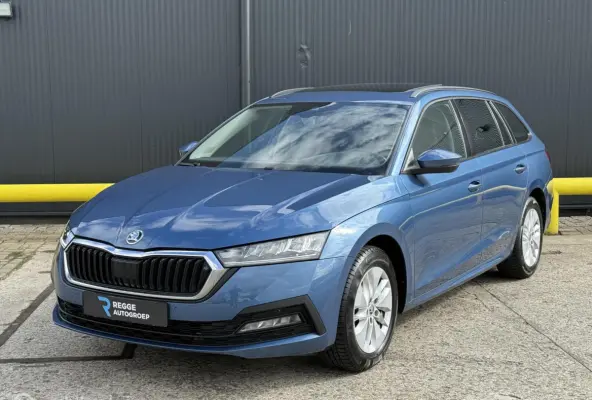 1.0 TSI Business Edition Plus PANODAK