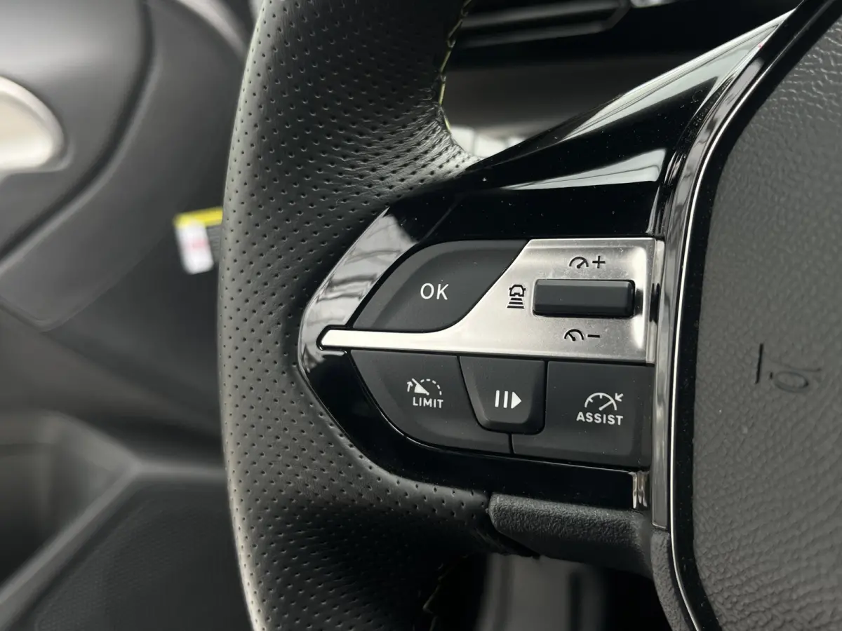 HYbrid 225 EAT8 Automaat GT | Adaptive Cruise Contol | Keyless | Camera rondom | Elektrische achterklep | Carplay/Android Auto | Stuurwiel verwarmd |