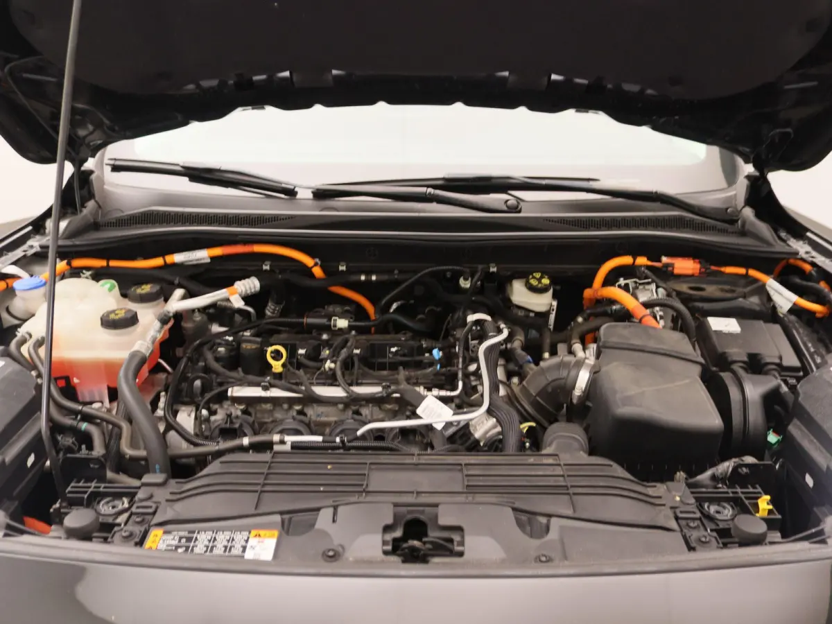 2.5 PHEV Vignale | Leder | Memory | Adaptieve Cruise Control | Winter Pakket | Trekhaak |