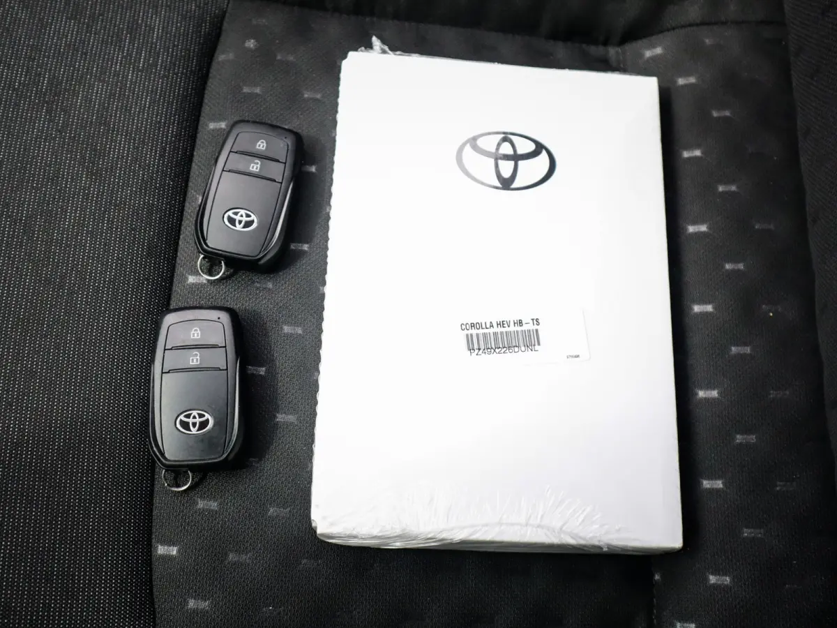 Hybrid 140 Active 1e-Eig. & Keurig-Onderh. BOVAG-Garantie. NL-Auto.