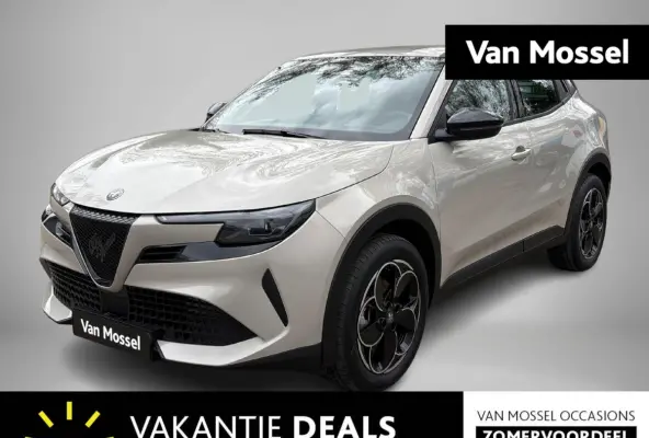 Elettrica 54 kWh | Apple Carplay/Android Auto | Climate Control | Parkeersensoren | Cruise Control | Lichtmetalen Velgen 18" |
