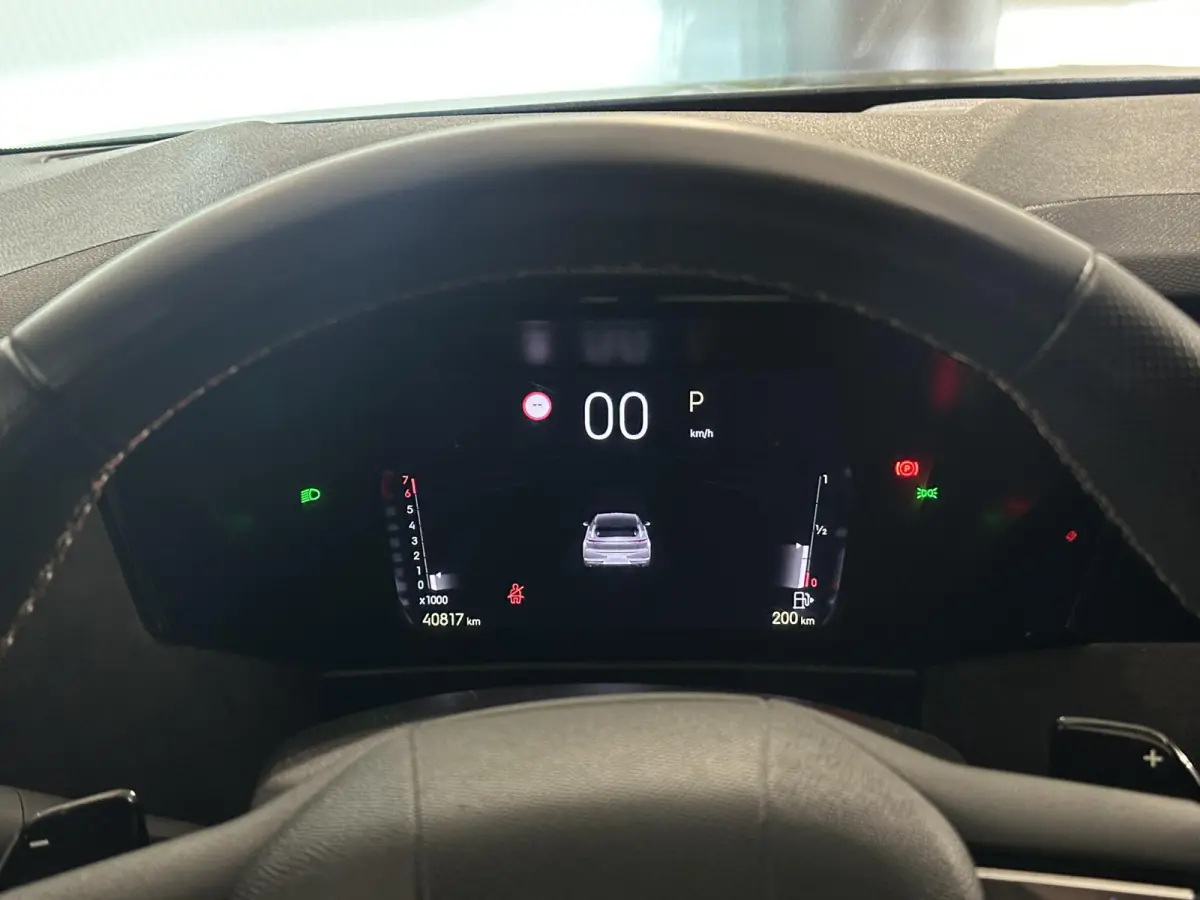 1.2 PureTech Performance Line | Camera | Leder | Climate control | Trekhaak
