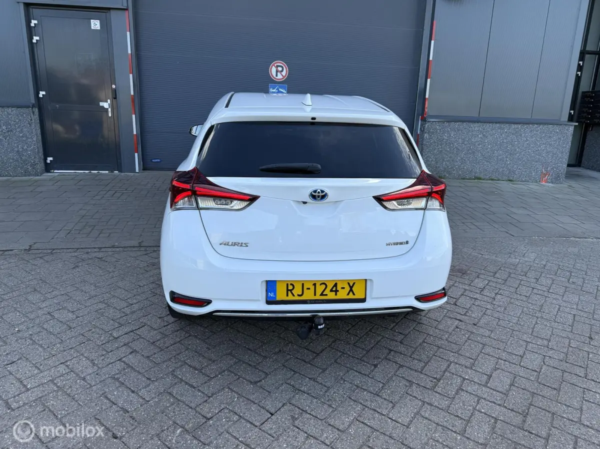 1.8 Hybrid Dynamic Go