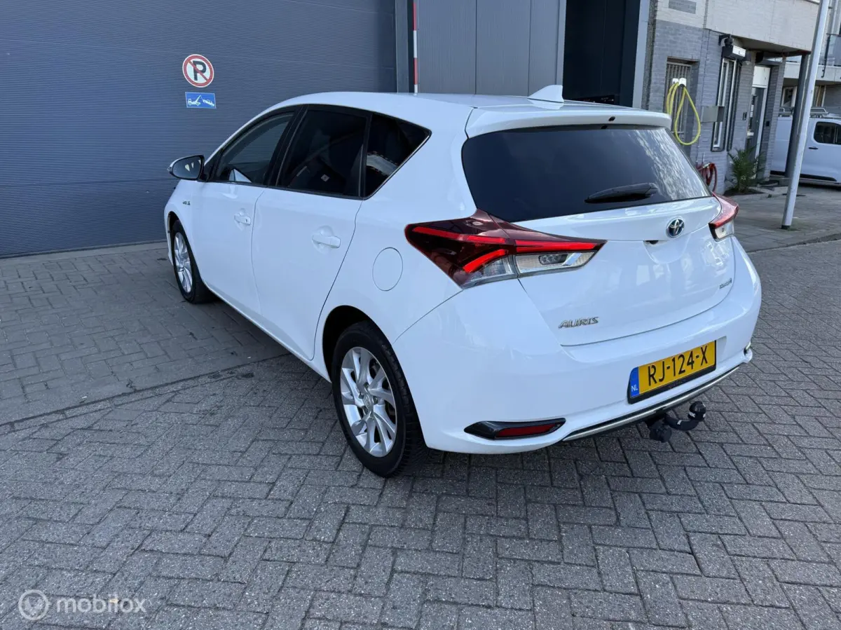 1.8 Hybrid Dynamic Go
