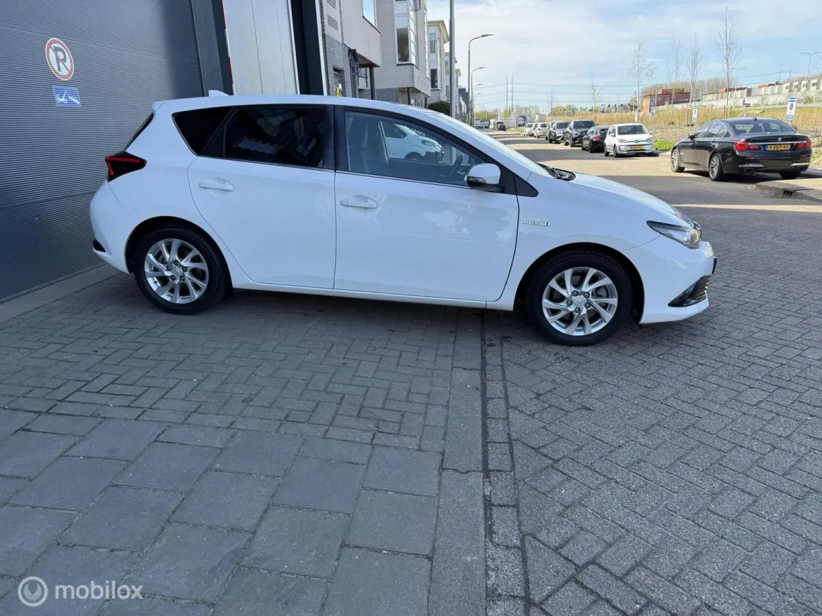 1.8 Hybrid Dynamic Go