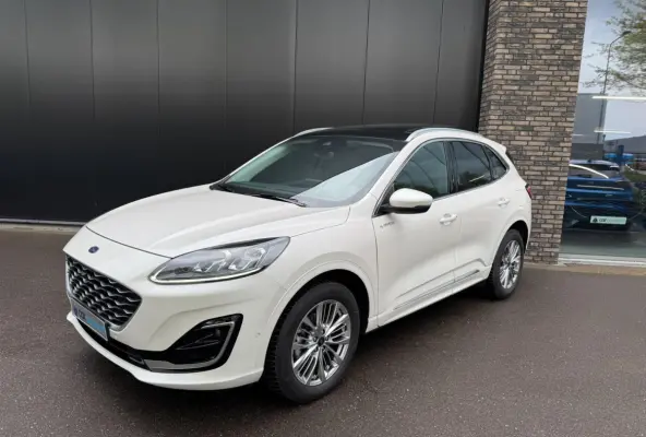 2.5 FHEV 190pk Vignale Panorama, Camera's, Navi, Winter pack, B&O etc. etvc.