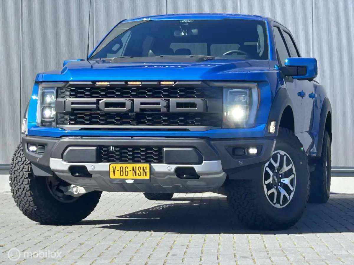 USA Raptor