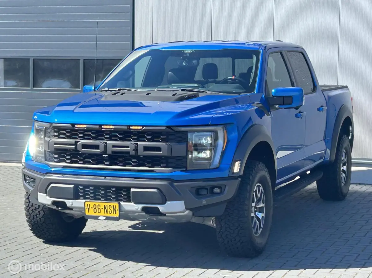 USA Raptor