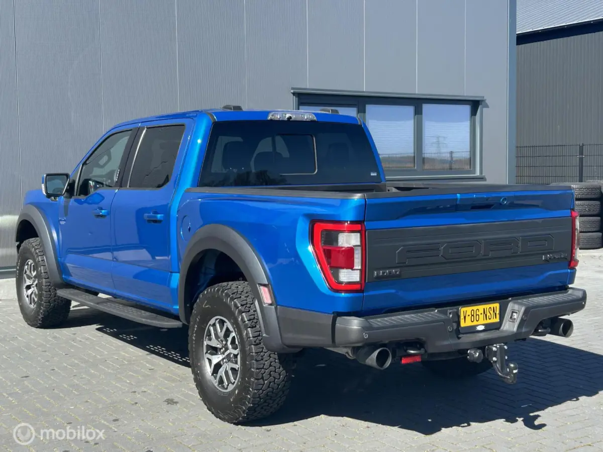 USA Raptor