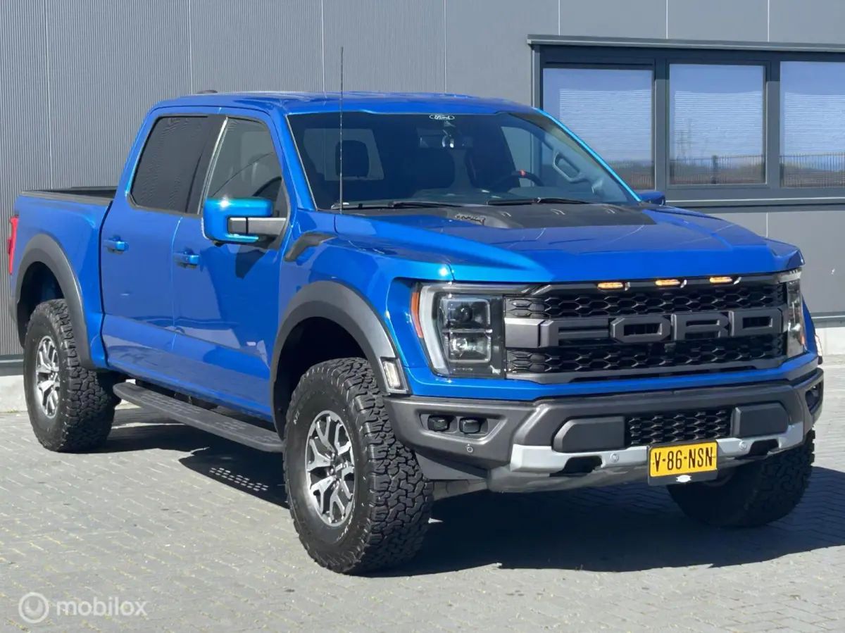 USA Raptor