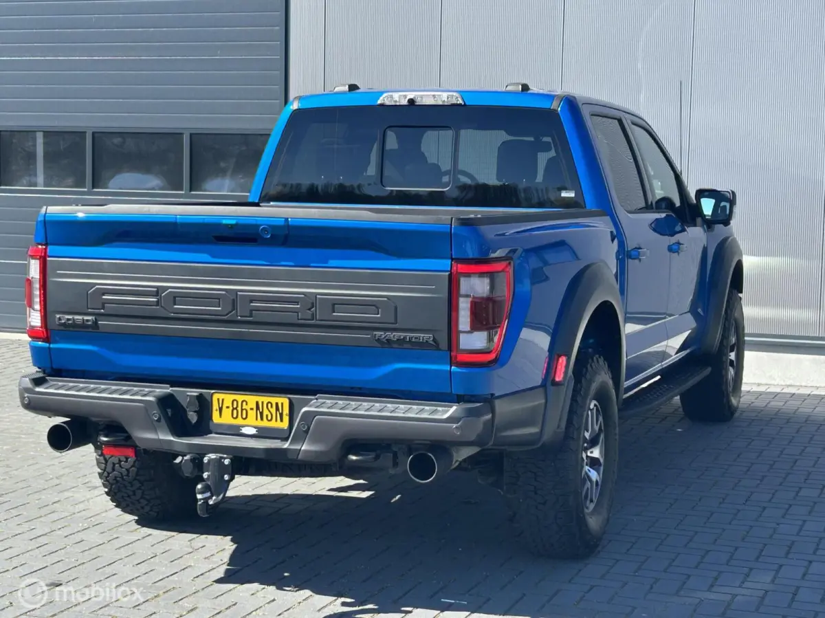 USA Raptor