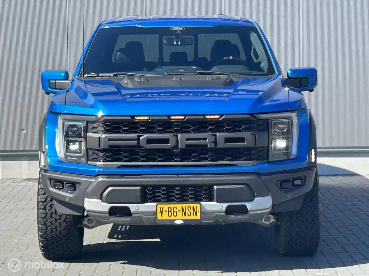 USA Raptor