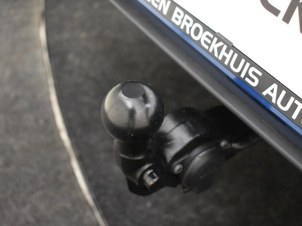 FR Business - eHybrid | Achteruitrijcamera | Automatisch dimmende binnenspiegel | Dakhemel uitgevoerd in zwart