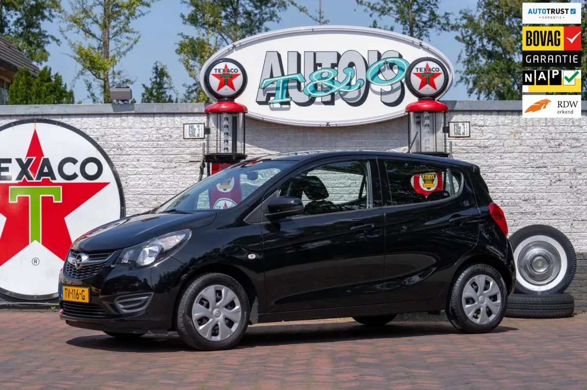 1.0 ecoFLEX Edition 1e Eigenaar NL-auto + NAP