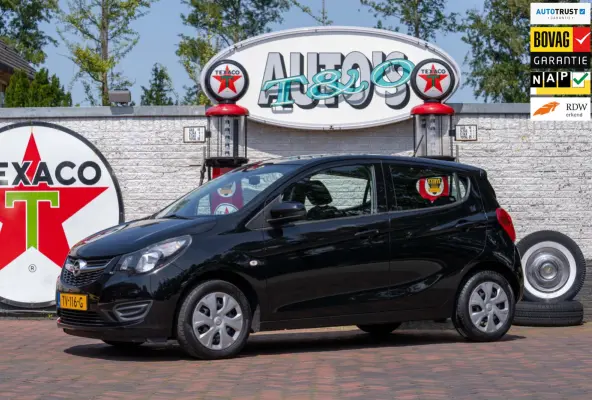 1.0 ecoFLEX Edition 1e Eigenaar NL-auto + NAP