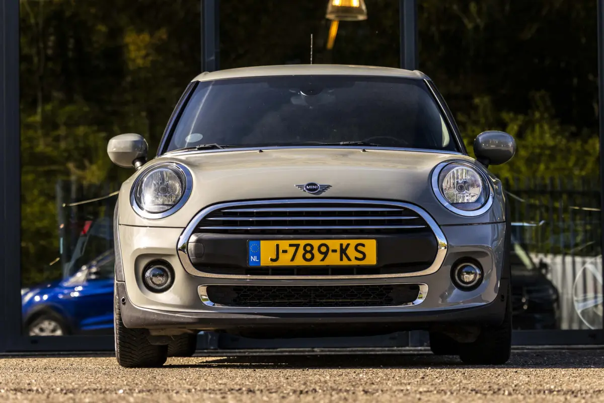 1.5 One Business Edition