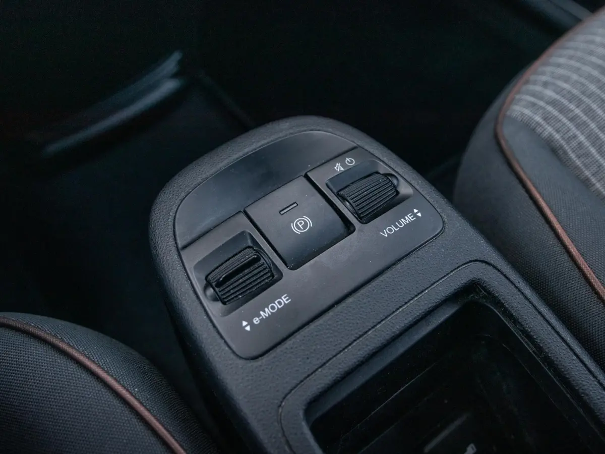 Icon 42 kWh l SOH 92,8% | Clima | Cruise | Camera | 17" | Priv. Glass | Schuif/Kanteldak | Winter Pack | BSM | Apple Carplay