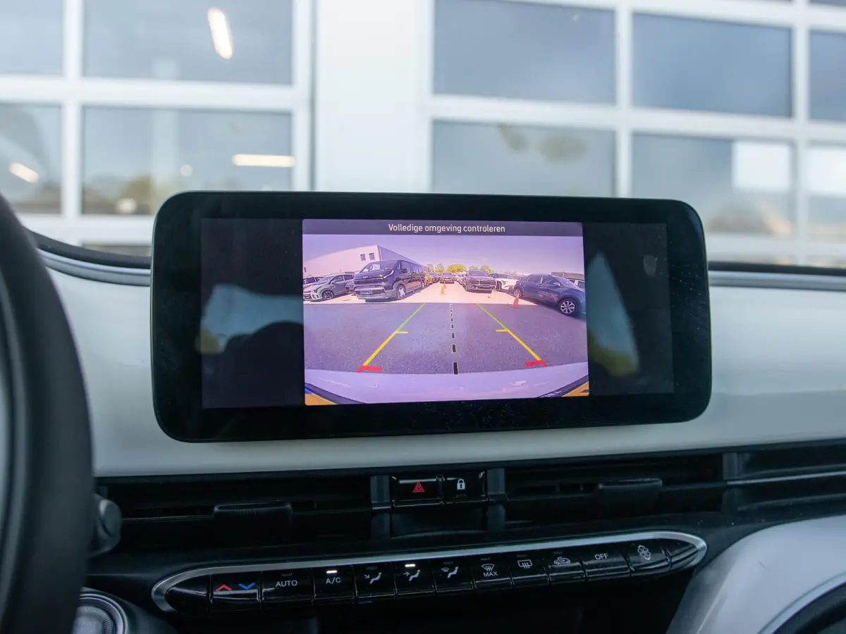 Icon 42 kWh l SOH 92,8% | Clima | Cruise | Camera | 17" | Priv. Glass | Schuif/Kanteldak | Winter Pack | BSM | Apple Carplay