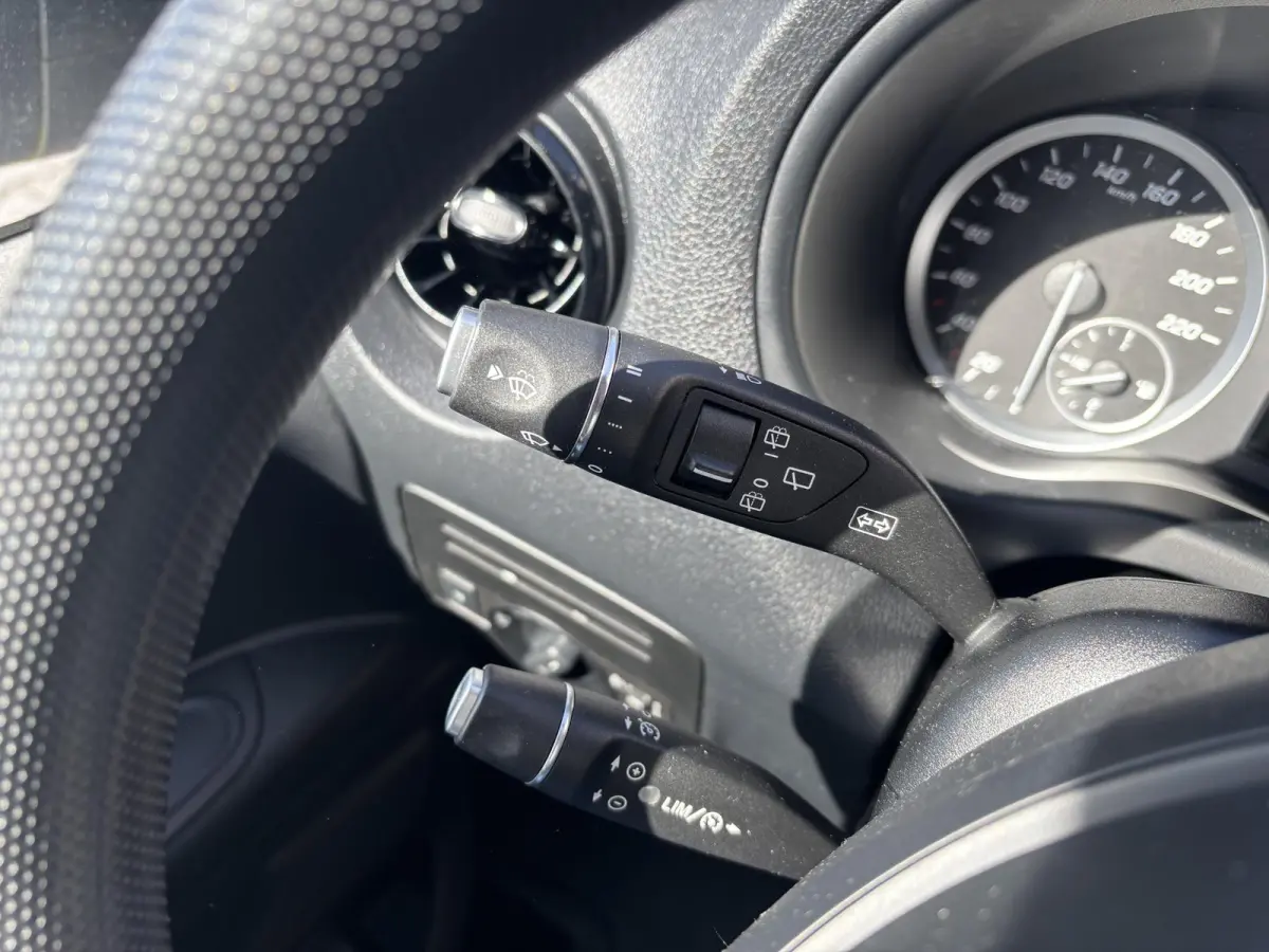 110 CDI Functional Lang*ECC*CRUISE*HAAK*