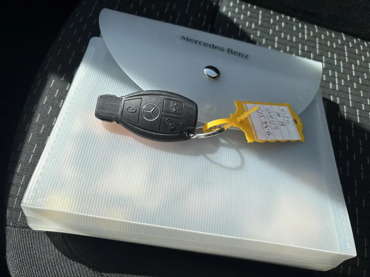 110 CDI Functional Lang*ECC*CRUISE*HAAK*