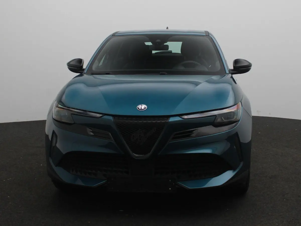 Elettrica 54 kWh | Apple Carplay/Android Auto | Cruise Control | Climate Control | Lichtmetalen Velgen |