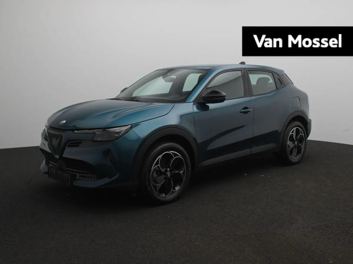 Elettrica 54 kWh | Apple Carplay/Android Auto | Cruise Control | Climate Control | Lichtmetalen Velgen |