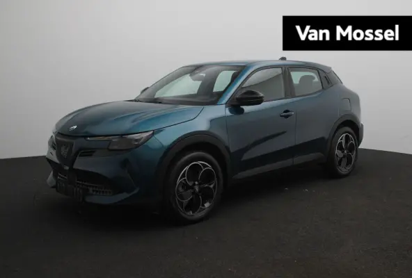 Elettrica 54 kWh | Apple Carplay/Android Auto | Cruise Control | Climate Control | Lichtmetalen Velgen |