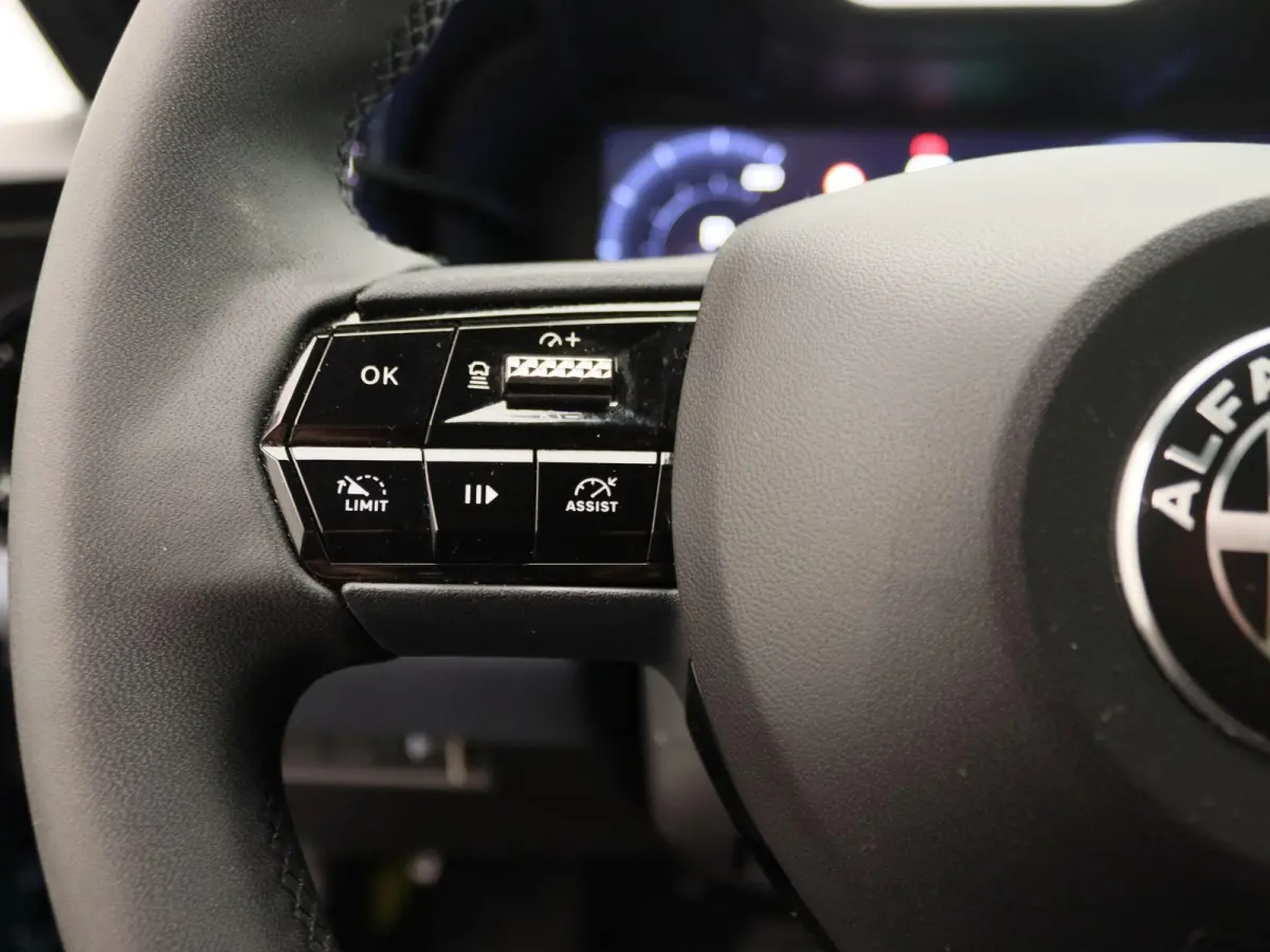 Elettrica 54 kWh | Apple Carplay/Android Auto | Cruise Control | Climate Control | Lichtmetalen Velgen |