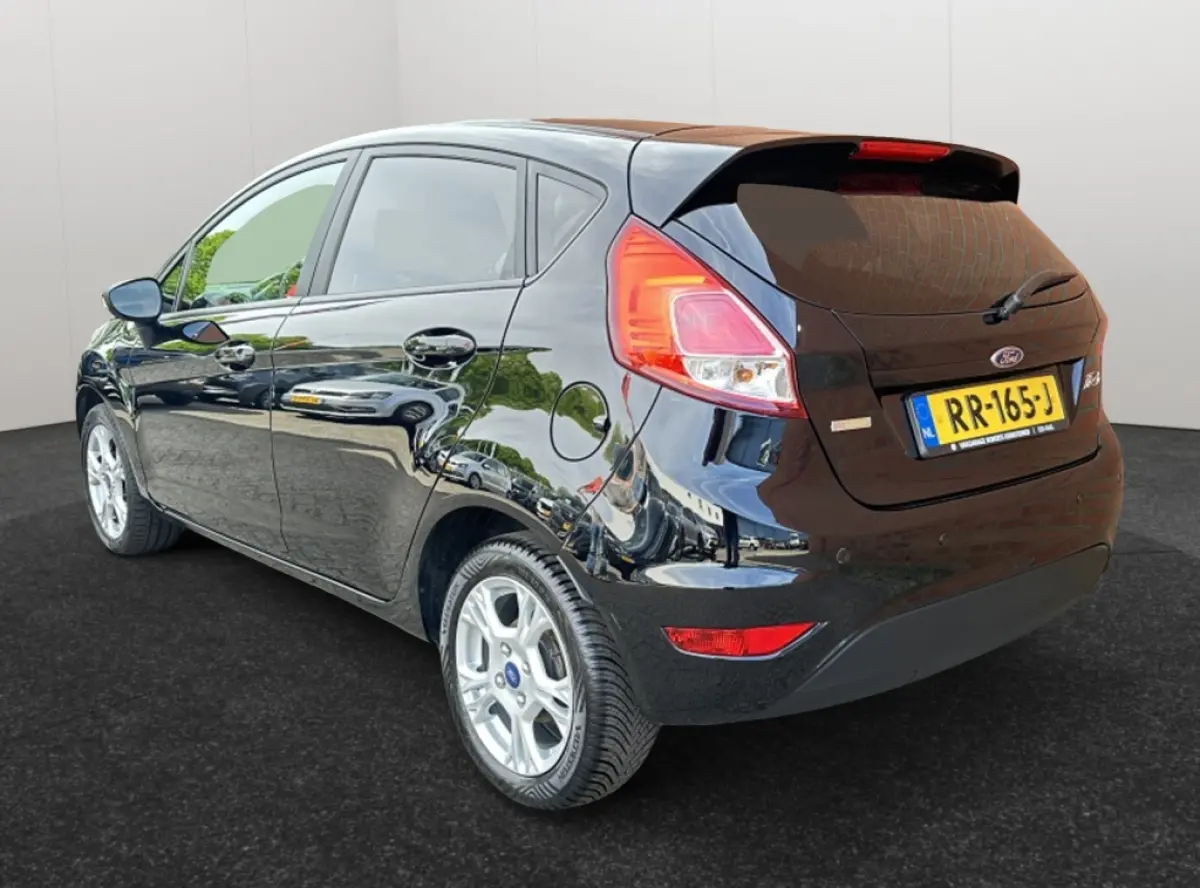 1.0 EcoBoost 100PK Titanium Clima Velgen 5 deurs
