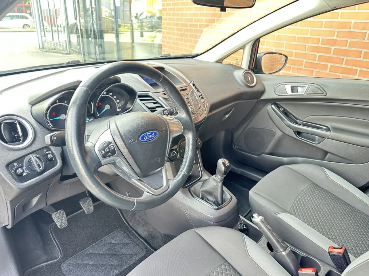 1.0 EcoBoost 100PK Titanium Clima Velgen 5 deurs