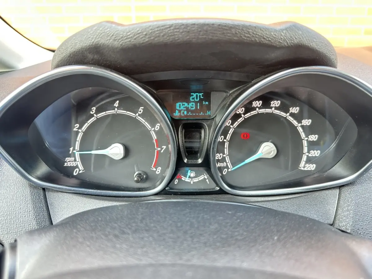 1.0 EcoBoost 100PK Titanium Clima Velgen 5 deurs
