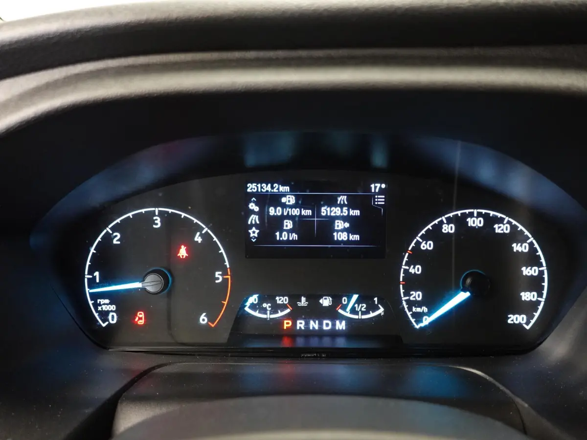 300 2.0 TDCI L2H1 Trend Automaat Airco Navi Cruisecontrol Camera Parkeersensoren Trekhaak