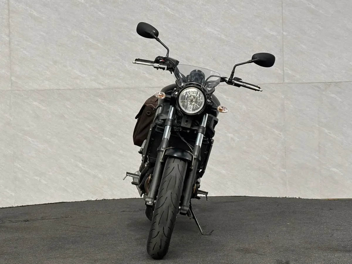 Tour Windscherm - Leren tas - Leuke motor!