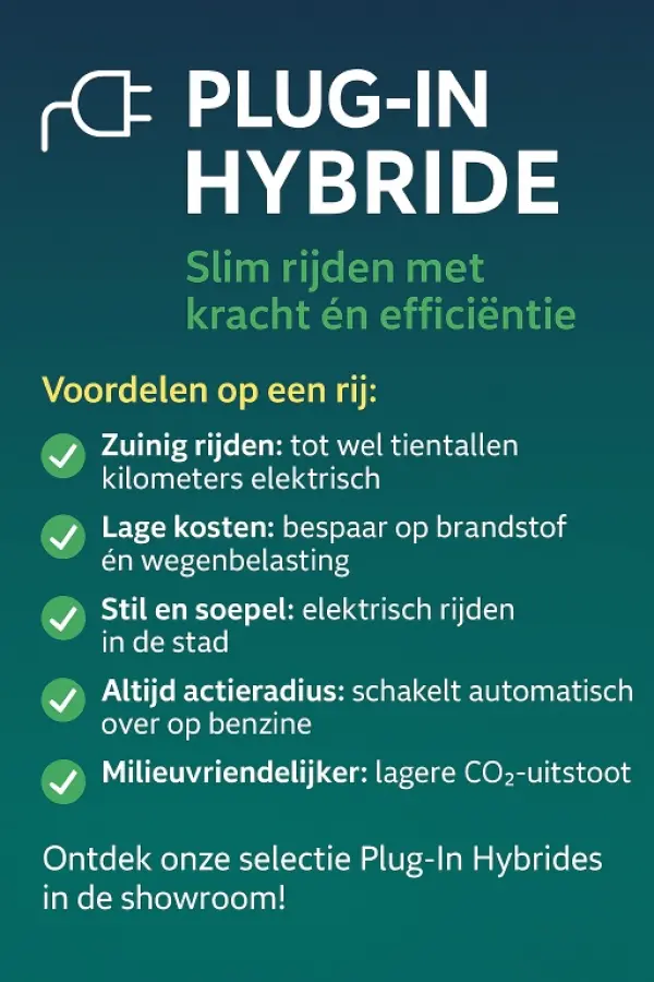 4xe 240 Plug In Hybride S Leder Stoelkoeling 360 Camera All Seas