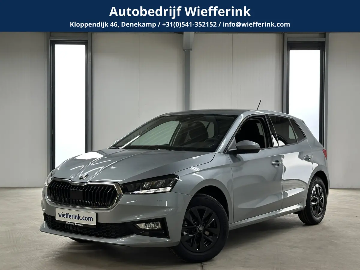 1.0 TSI 115 pk DSG Edition | Apple Carplay/Android Auto | Camera | Winter Pakket |