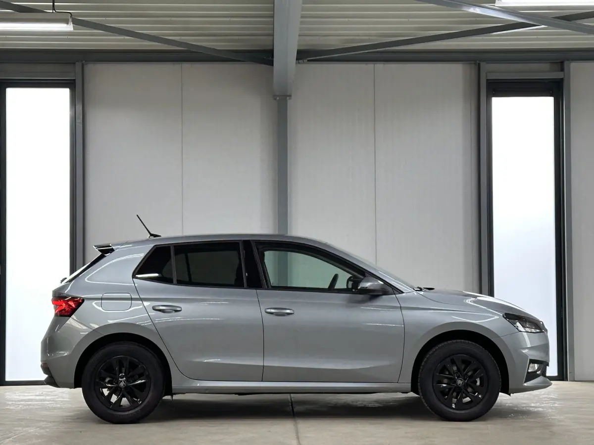 1.0 TSI 115 pk DSG Edition | Apple Carplay/Android Auto | Camera | Winter Pakket |