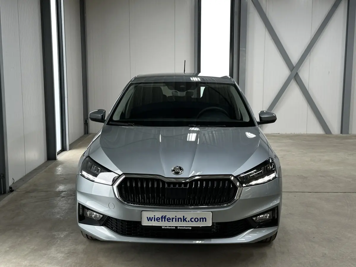 1.0 TSI 115 pk DSG Edition | Apple Carplay/Android Auto | Camera | Winter Pakket |