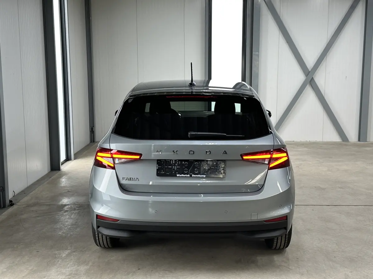 1.0 TSI 115 pk DSG Edition | Apple Carplay/Android Auto | Camera | Winter Pakket |