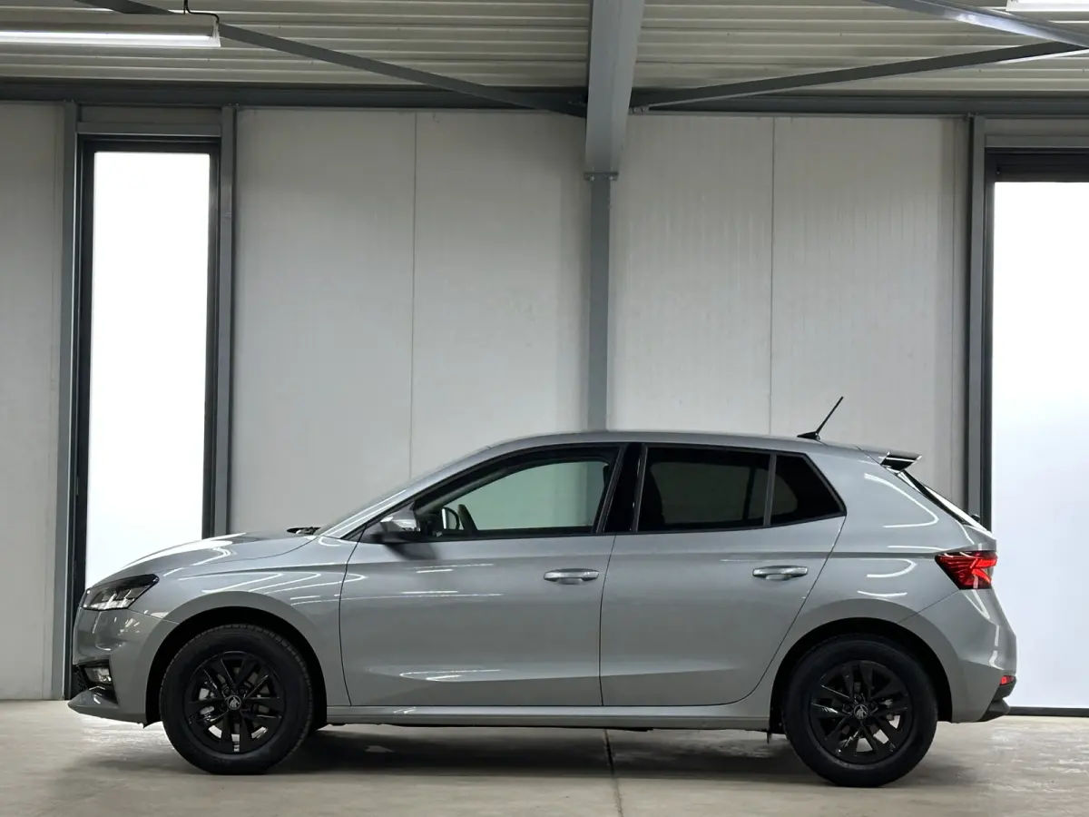 1.0 TSI 115 pk DSG Edition | Apple Carplay/Android Auto | Camera | Winter Pakket |