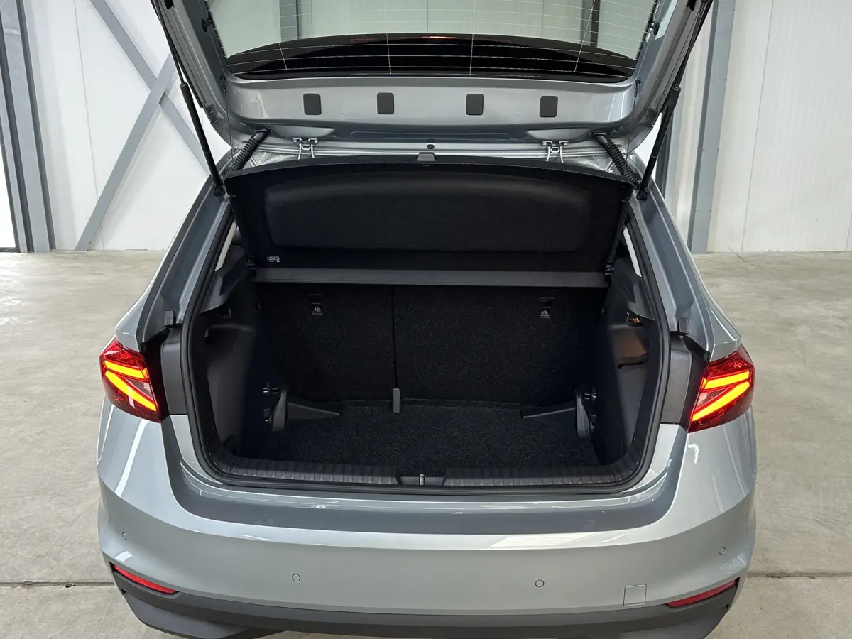 1.0 TSI 115 pk DSG Edition | Apple Carplay/Android Auto | Camera | Winter Pakket |