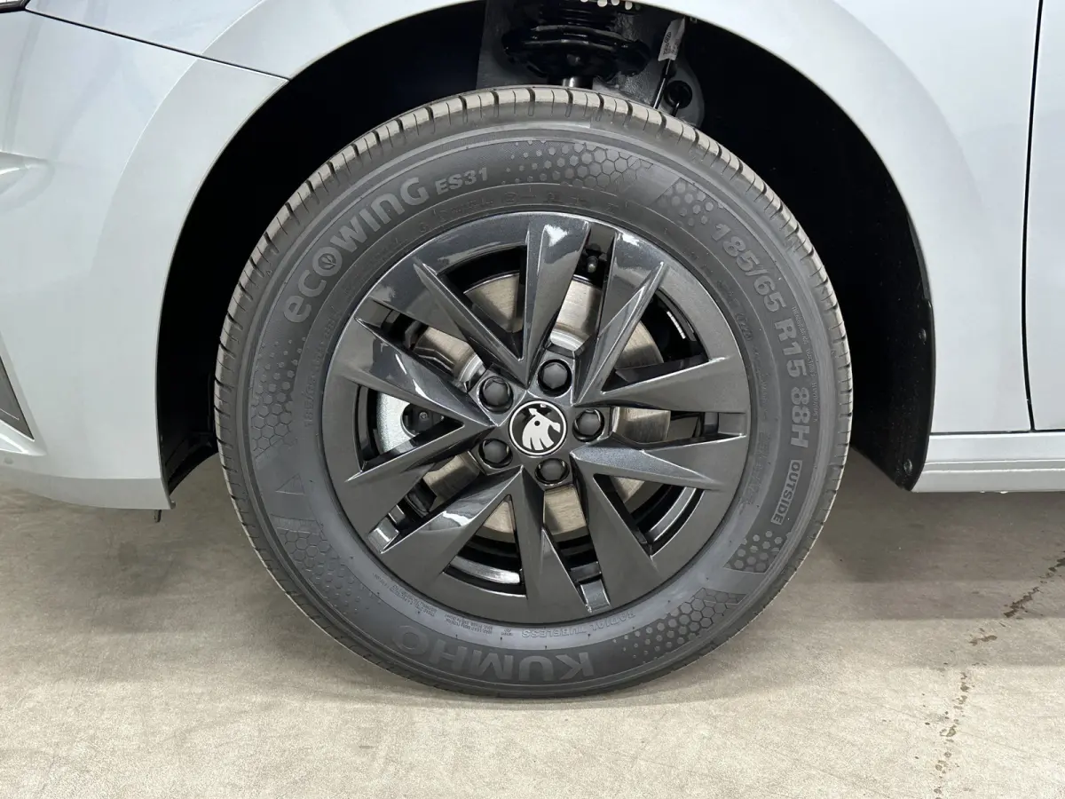 1.0 TSI 115 pk DSG Edition | Apple Carplay/Android Auto | Camera | Winter Pakket |